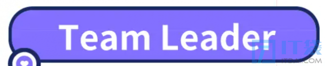 Team Leader究竟要不要写代码？