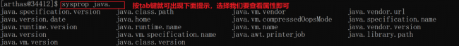Arthas中JVM相关命令详解